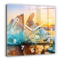 Sieninis laikrodis Ledo Ir Saulėtekio Kalnas kaina ir informacija | Laikrodžiai | pigu.lt