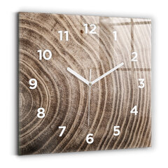 Sieninis laikrodis Medžio Kamienas kaina ir informacija | Laikrodžiai | pigu.lt