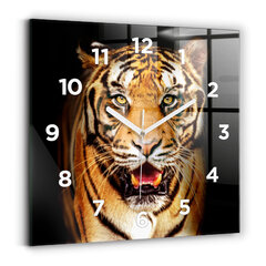 Sieninis laikrodis Tigras - Laukinis Regėjimas kaina ir informacija | Laikrodžiai | pigu.lt