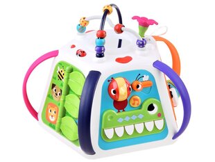 Interaktyvus žaislas Hola kaina ir informacija | Žaislai kūdikiams | pigu.lt