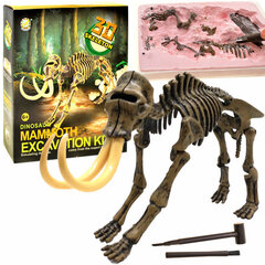 Archeologijos kasinįjimo rinkinys Mamuto skeletas, 4d kaina ir informacija | Lavinamieji žaislai | pigu.lt