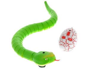 Nuotoliniu būdu valdoma gyvatė Stator, žalia цена и информация | Игрушки для мальчиков | pigu.lt