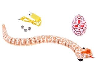 Nuotoliniu būdu valdoma gyvatė Stator, ruda kaina ir informacija | Žaislai berniukams | pigu.lt