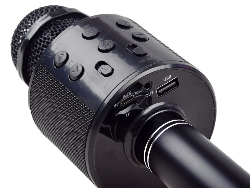 Belaidis karaoke mikrofonas kaina ir informacija | Lavinamieji žaislai | pigu.lt