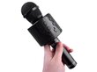 Belaidis karaoke mikrofonas kaina ir informacija | Lavinamieji žaislai | pigu.lt