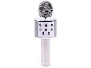 Žaislinis karaoke mikrofonas kaina ir informacija | Lavinamieji žaislai | pigu.lt