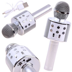 Žaislinis karaoke mikrofonas kaina ir informacija | Lavinamieji žaislai | pigu.lt