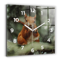 Sieninis laikrodis Voverė Ir Laukinė Gamta kaina ir informacija | Laikrodžiai | pigu.lt