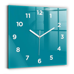 Sieninis laikrodis Jūrų kaina ir informacija | Laikrodžiai | pigu.lt