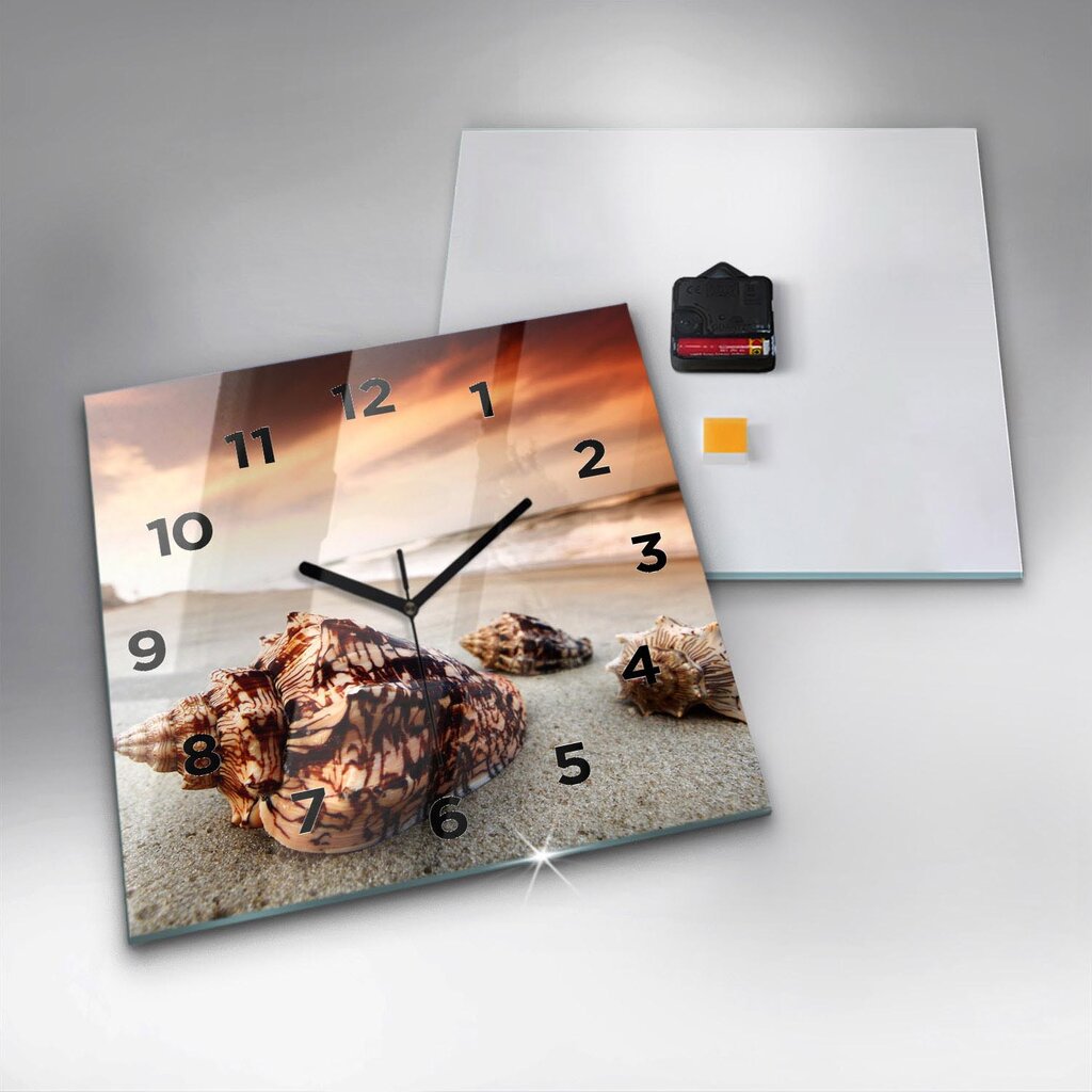 Sieninis laikrodis Paplūdimio Apvalkalas kaina ir informacija | Laikrodžiai | pigu.lt