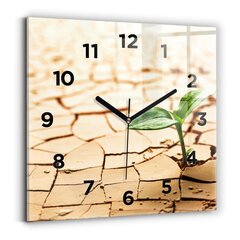 Sieninis laikrodis Pasodinkite Sausame Dirvožemyje kaina ir informacija | Laikrodžiai | pigu.lt