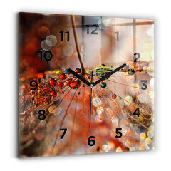 Sieninis laikrodis Kiaulpienė Su Rosa цена и информация | Часы | pigu.lt