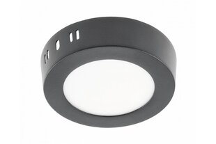 LED светильник ORIS PLUS, IP20, 24W, 4000K, 2000lm цена и информация | Потолочные светильники | pigu.lt