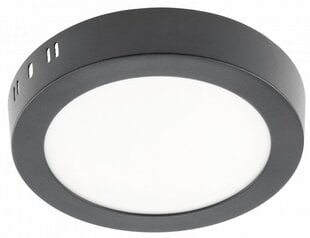 LED светильник ORIS PLUS, IP20, 13W, 3000K, 1020lm цена и информация | Потолочные светильники | pigu.lt