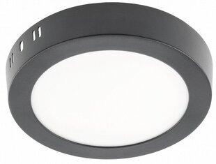 LED светильник ORIS PLUS, IP20, 24W, 4000K, 2000lm цена и информация | Потолочные светильники | pigu.lt