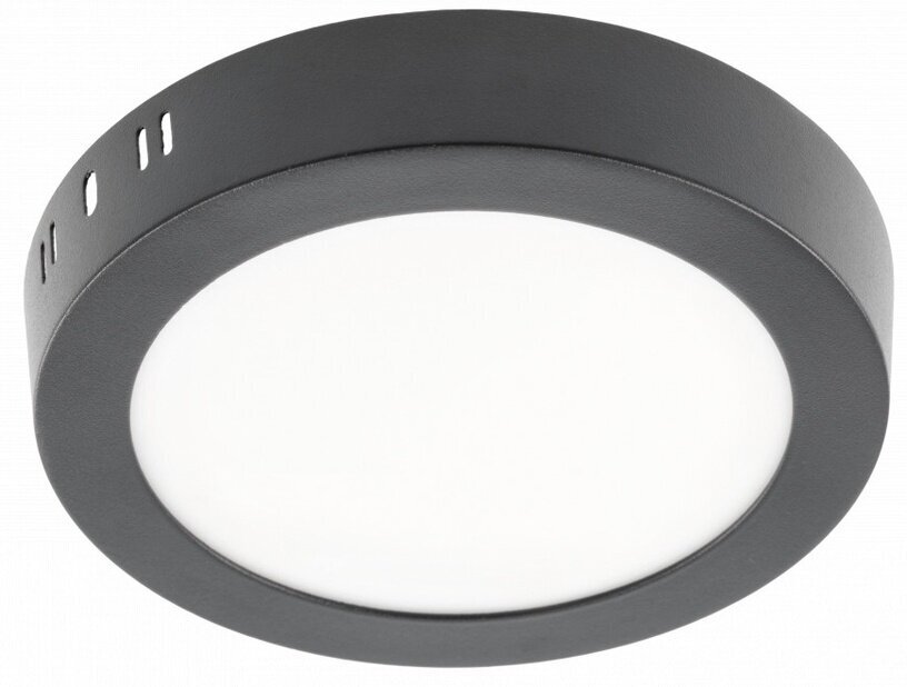 GTV LED lubinis šviestuvas Oris Plus цена и информация | Lubiniai šviestuvai | pigu.lt