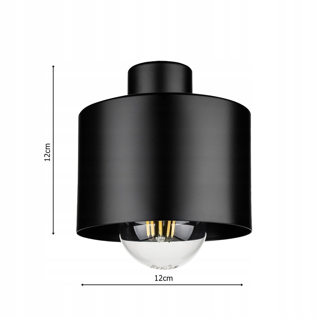 Led-lux lubinis šviestuvas kaina ir informacija | Lubiniai šviestuvai | pigu.lt