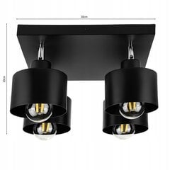 Led-lux потолочный светильник, черный цена и информация | Потолочные светильники | pigu.lt