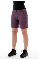 Šortai moterims Mammut 1023-00030-50119-38-10, violetiniai цена и информация | Женские шорты | pigu.lt