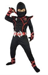 Ninja ülikond SHURIKEN DAGGERS, 110-116 цена и информация | Карнавальные костюмы | pigu.lt