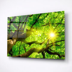 Картина из закаленного стекла Ветки деревьев цена и информация | Репродукции, картины | pigu.lt