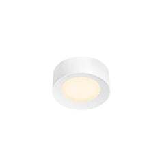 SLV потолочный светильник Fera 25 Dali цена и информация | Потолочные светильники | pigu.lt