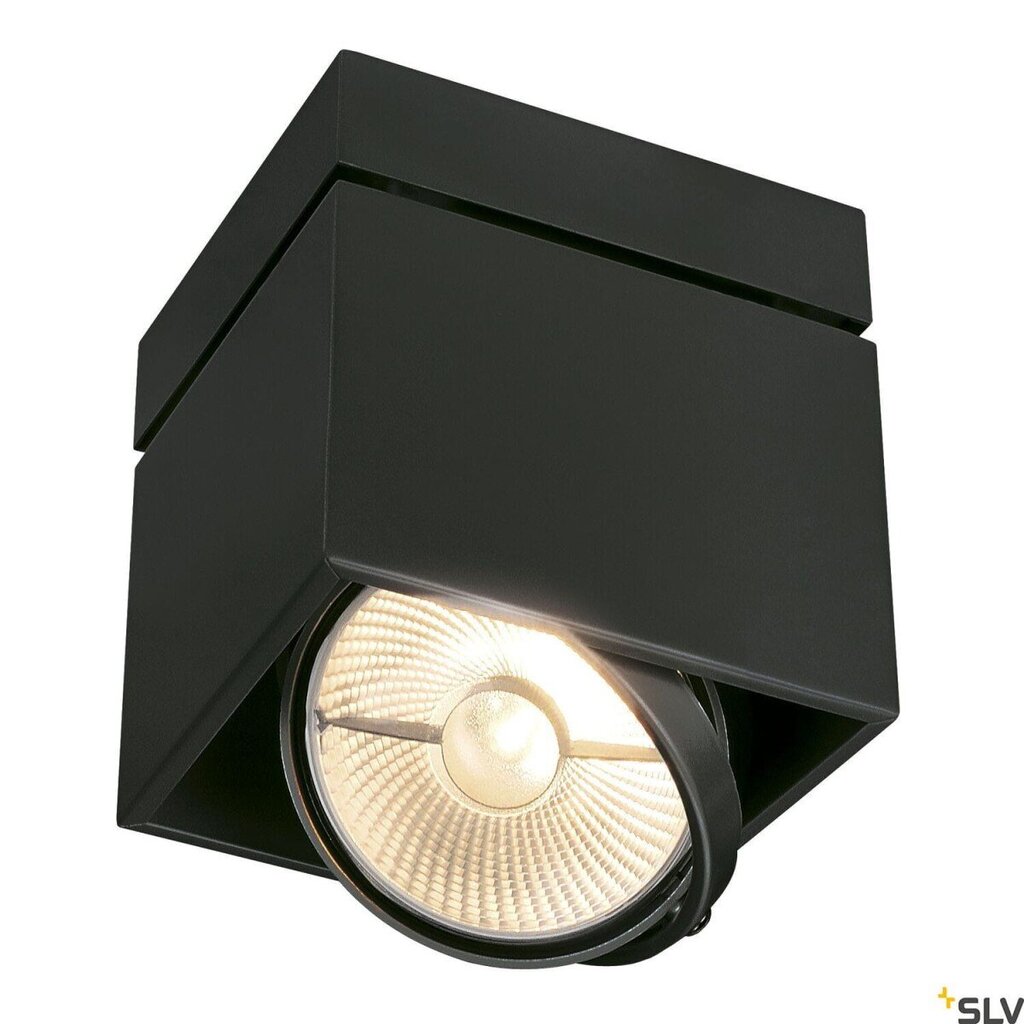 SLV lubinis šviestuvas Kardamod kaina ir informacija | Lubiniai šviestuvai | pigu.lt