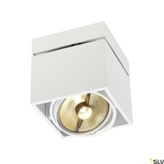SLV lubinis šviestuvas Kardamod kaina ir informacija | Lubiniai šviestuvai | pigu.lt