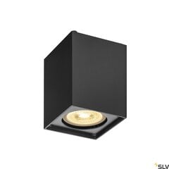 SLV lubinis šviestuvas Altra kaina ir informacija | Lubiniai šviestuvai | pigu.lt