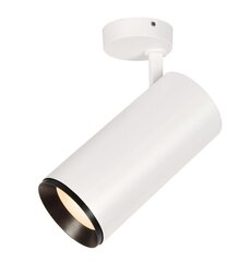 SLV lubinis šviestuvas Numinos kaina ir informacija | Lubiniai šviestuvai | pigu.lt