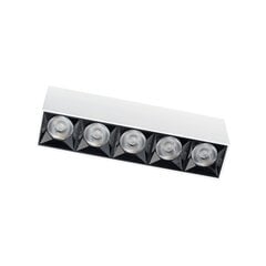 Nowodvorski įmontuojamas LED šviestuvas Midi kaina ir informacija | Įmontuojami šviestuvai, LED panelės | pigu.lt