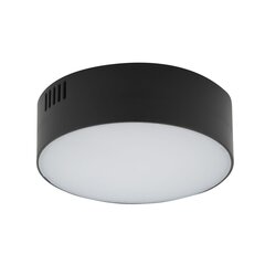 Nowodvorski потолочный светильник Lid цена и информация | Потолочные светильники | pigu.lt