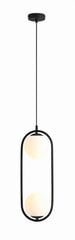 Aldex подвесной светильник Riva цена и информация | Люстры | pigu.lt