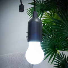 Pakabinamas šviestuvas Solidus kaina ir informacija | Lubiniai šviestuvai | pigu.lt