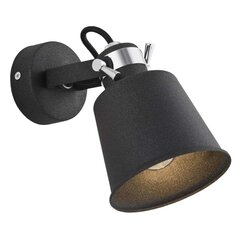Настенный светильник Argon цена и информация | Настенные светильники | pigu.lt