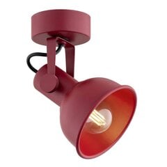 Argon настенный светильник Lenora цена и информация | Настенные светильники | pigu.lt