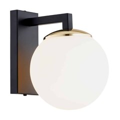 Настенный светильник Argon Moritz цена и информация | Настенные светильники | pigu.lt