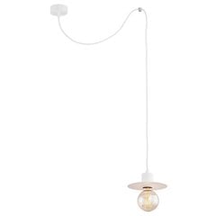 Argon подвесной светильник Corso 3834 цена и информация | Подвесной светильник | pigu.lt