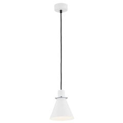 Argon подвесной светильник Beverly 4681 цена и информация | Подвесной светильник | pigu.lt