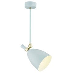 Argon подвесной светильник Charotte цена и информация | Подвесной светильник | pigu.lt