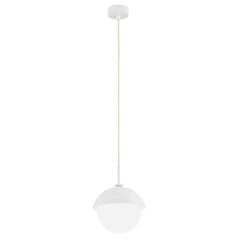 Argon подвесной светильник Cappello 8294 цена и информация | Подвесной светильник | pigu.lt