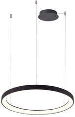 Azzardo подвесной светильник Agnes AZ5019 цена и информация | Подвесной светильник | pigu.lt