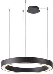 Azzardo подвесной светильник Marco AZ5050 цена и информация | Подвесной светильник | pigu.lt