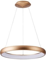 Azzardo подвесной светильник Antonio AZ5061 цена и информация | Подвесной светильник | pigu.lt