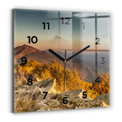 Sieninis laikrodis Kalnai Bieszczady Kalnai kaina ir informacija | Laikrodžiai | pigu.lt