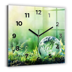 Sieninis laikrodis Gaublys kaina ir informacija | Laikrodžiai | pigu.lt