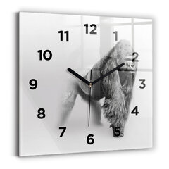 Sieninis laikrodis Gyvūnų Meno Kolekcija kaina ir informacija | Laikrodžiai | pigu.lt