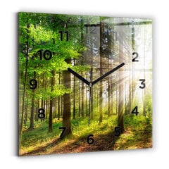 Sieninis laikrodis Rytų Miškas kaina ir informacija | Laikrodžiai | pigu.lt