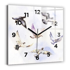 Sieninis laikrodis Skraidantys Paukščiai kaina ir informacija | Laikrodžiai | pigu.lt