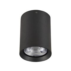 Italux lubinis šviestuvas Cervia kaina ir informacija | Lubiniai šviestuvai | pigu.lt